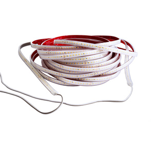 LED Stripes ab IP44 bei ERCEG GmbH in Hanau